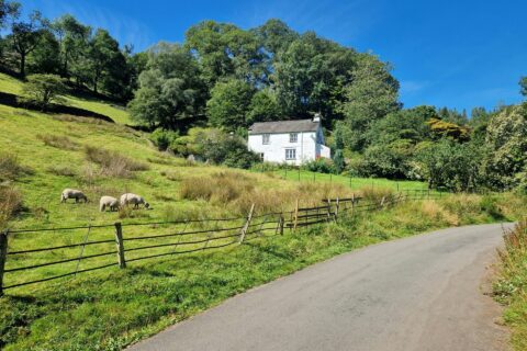 Farm & Private Road Surfacing Arundel