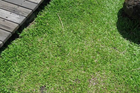 Landscaping Contractors Pulborough