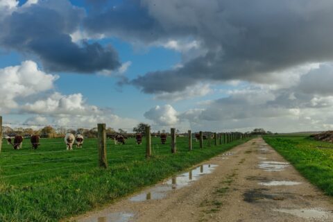 Farm Road Repairs Crawley RH10