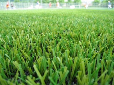 Lawn turf near me Angmering