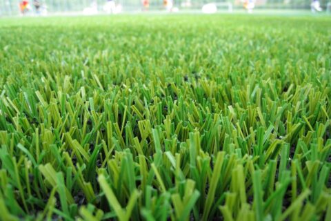Angmering Lawn Turf Installers