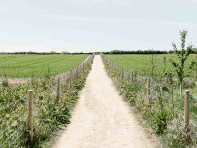 Farm road construction company near me Crawley