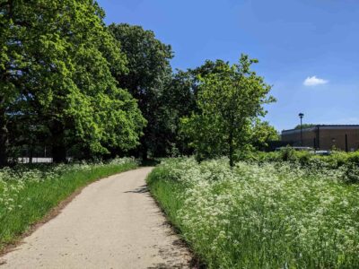 Farm road contractors Crawley