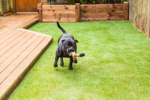 Expert Turf Installers Arundel