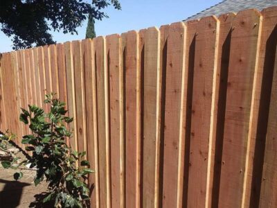 Fencing experts (3) Arundel